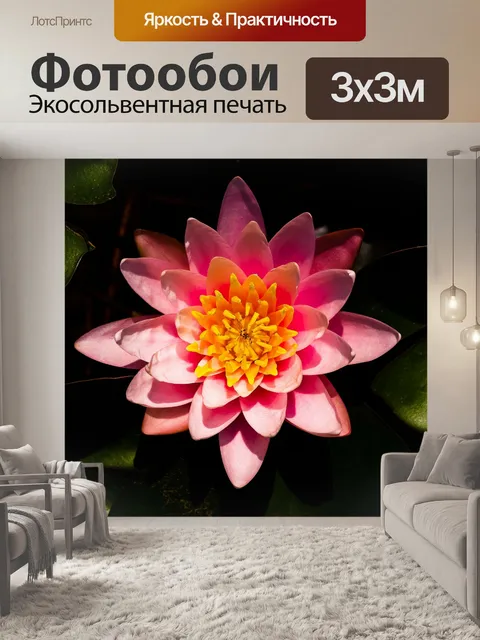 Фотообои цветок лотоса