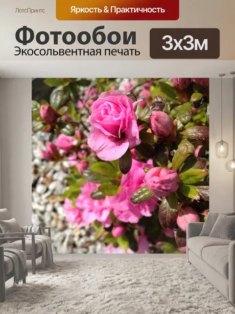 Фотообои Розовый