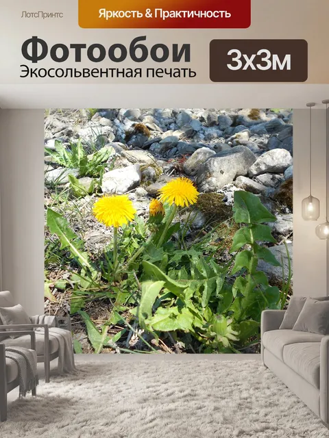 Фотообои Весна