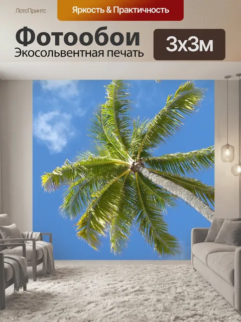 Фотообои Пальма