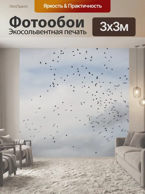 Фотообои Летающие птицы
