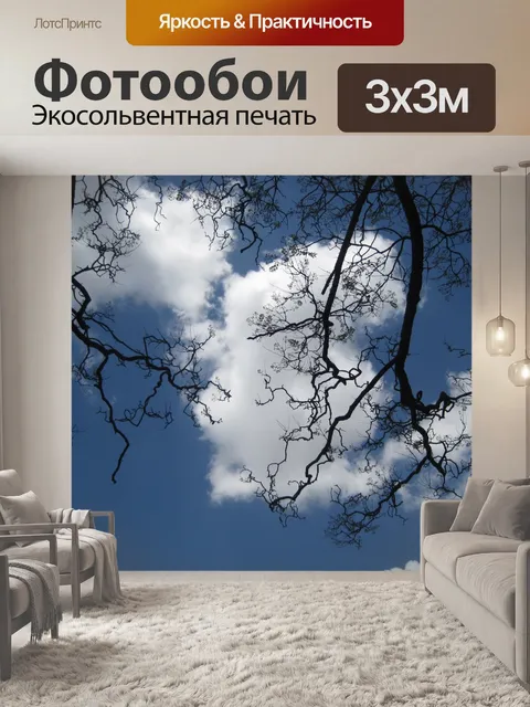 Фотообои Голые Jacaranda ветви против неба