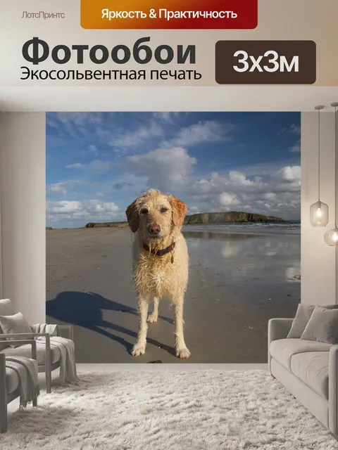 Фотообои Пляж