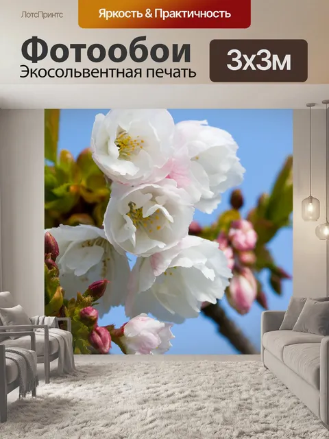 Фотообои Цветут цветы крупным планом