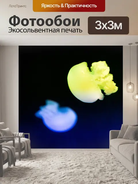Фотообои медуза