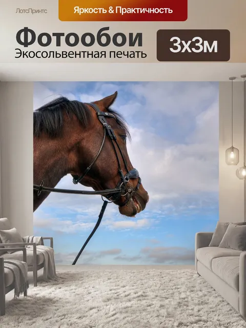 Фотообои Лошадь