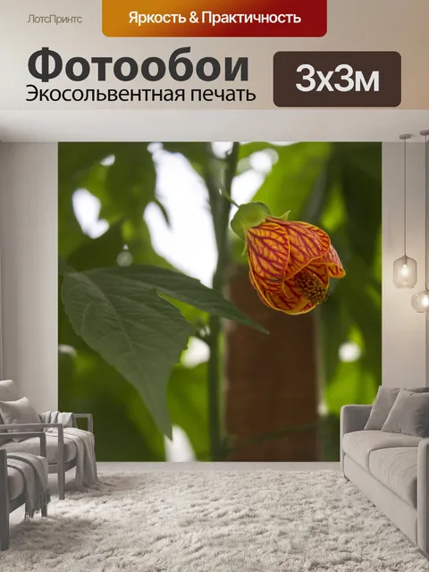 Фотообои Китайский Труба Вайн