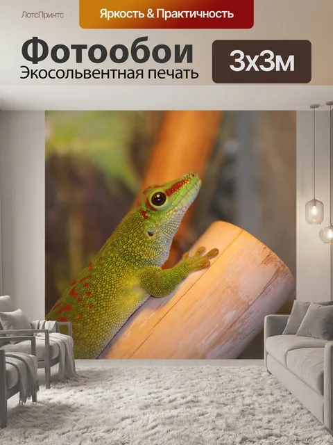 Фотообои Мадагаскарский дневной геккон