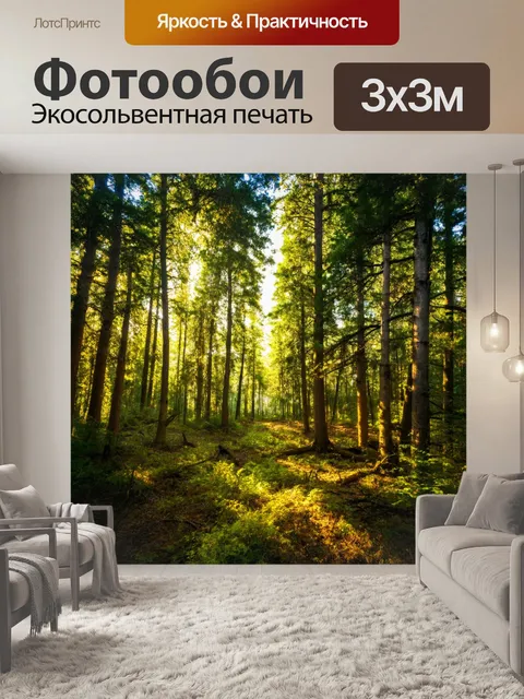 Фотообои лес с просветами между деревьями, где пробивается солнечный свет