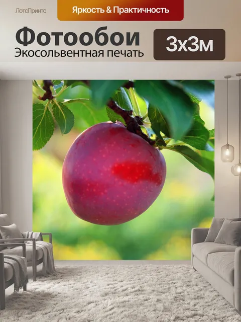 Фотообои красная слива
