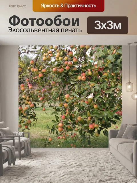 Фотообои Дерево