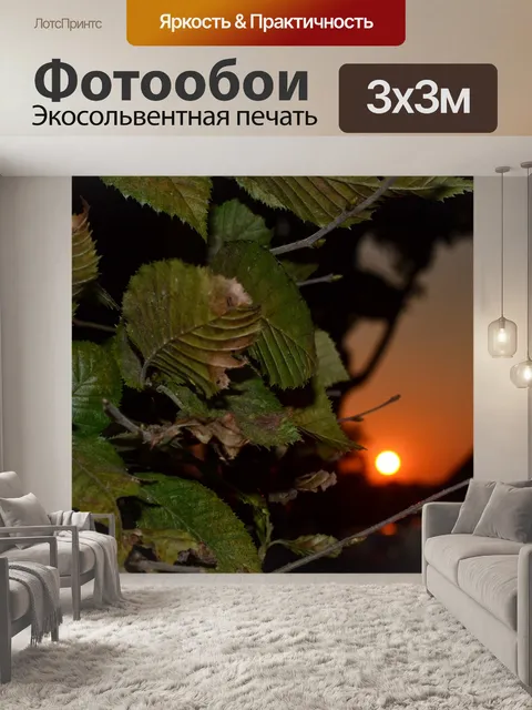 Фотообои Осень