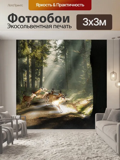 Фотообои Ред дир