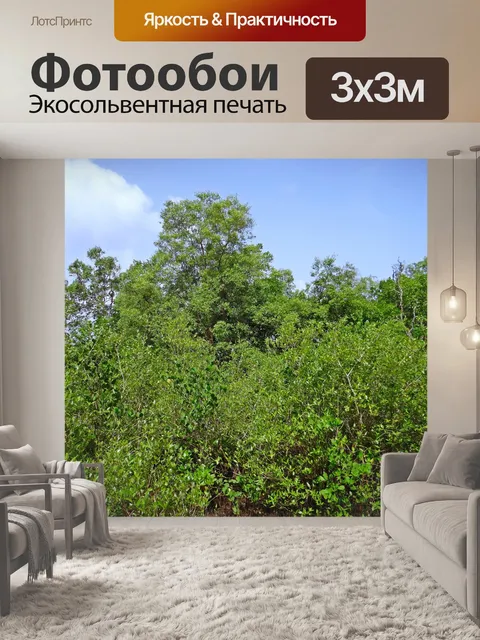 Фотообои Мангровые заросли