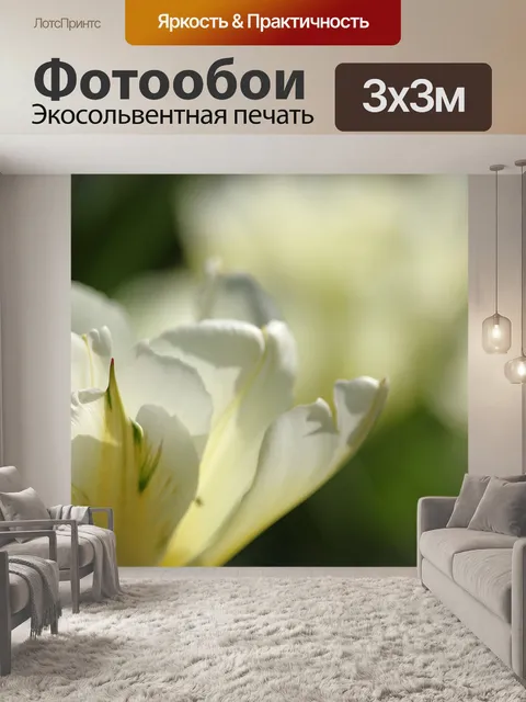 Фотообои Белые тюльпаны