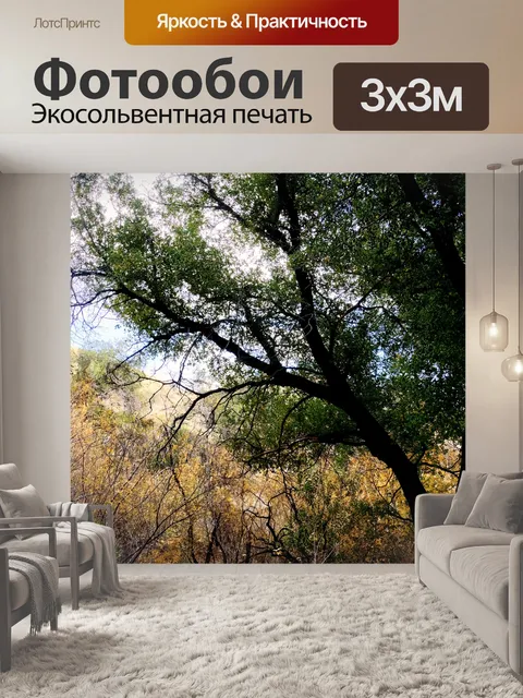 Фотообои Дерево на лугу