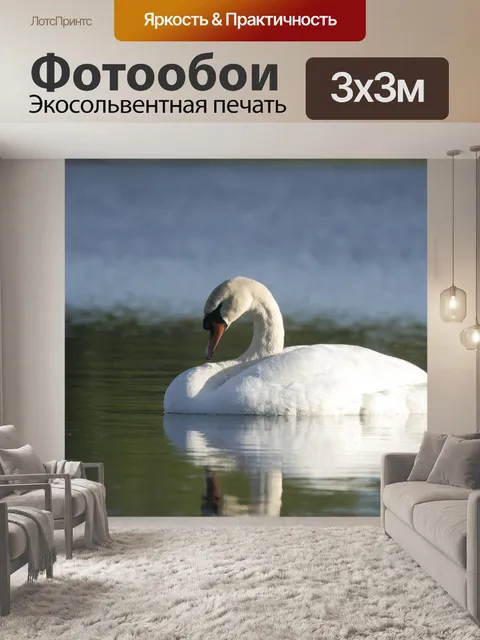 Фотообои Лебедь