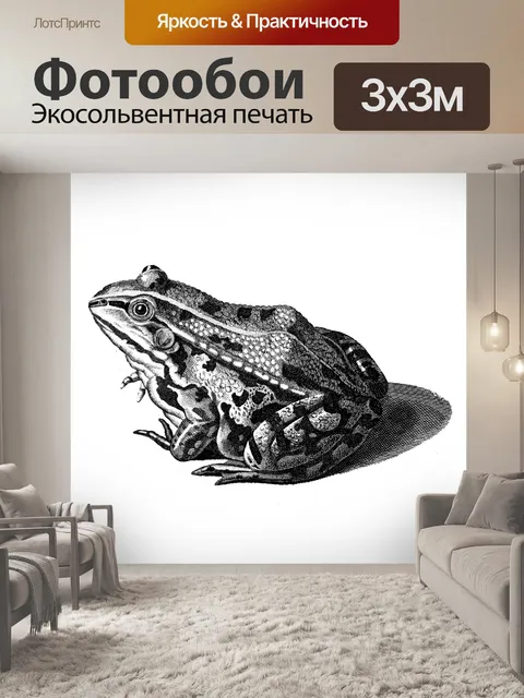 Фотообои Винтажная иллюстрация жаба-лягушка