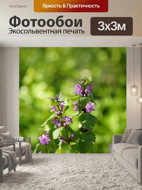 Фотообои Солнечный