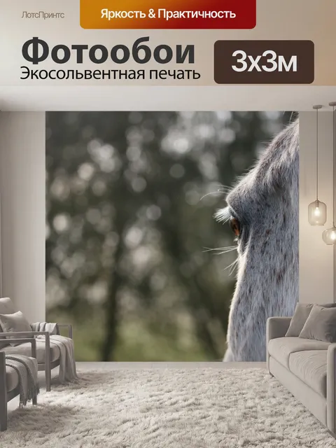 Фотообои Лошадь