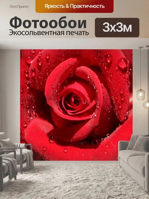 Фотообои Роза