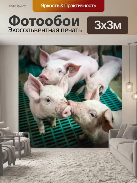 Фотообои Поросенок