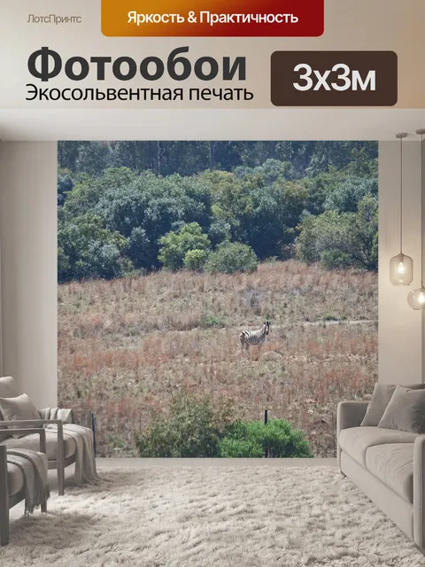 Фотообои далекая зебра Берчелла в траве