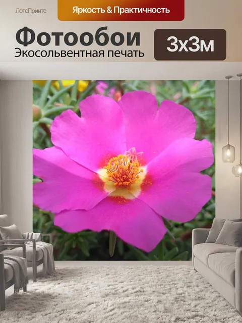 Фотообои Портулак oleracea л