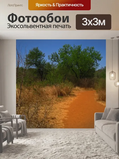 Фотообои пыльная тропа в заповеднике