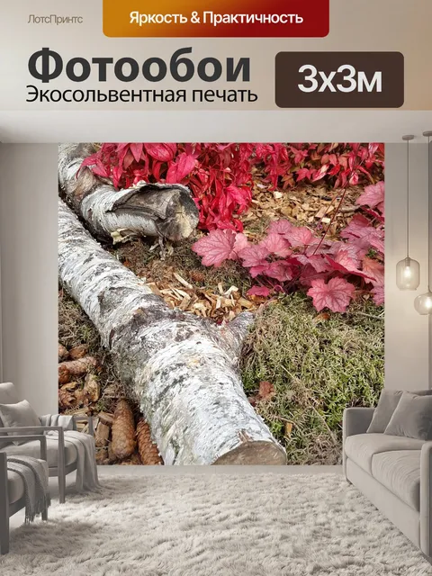 Фотообои Береза