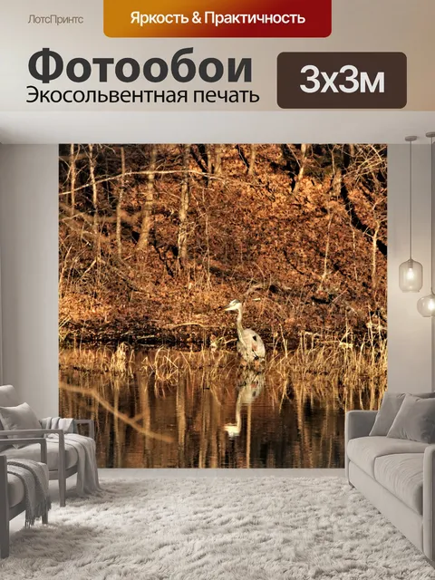 Фотообои Большая голубая цапля у Золотого пруда