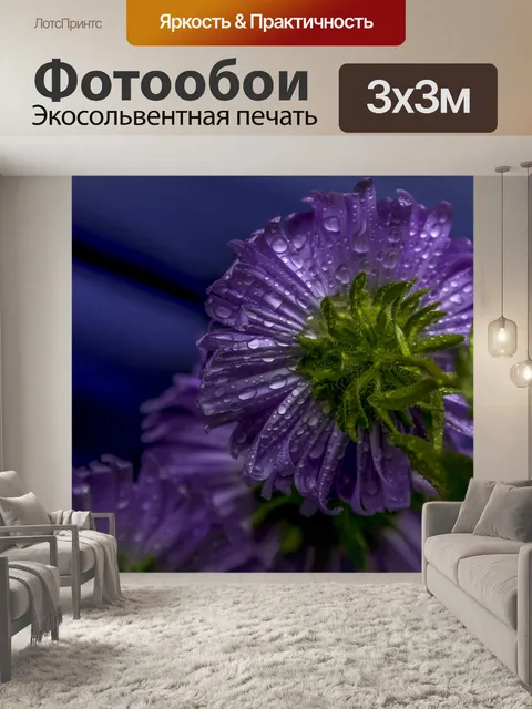 Фотообои Цветок в тени