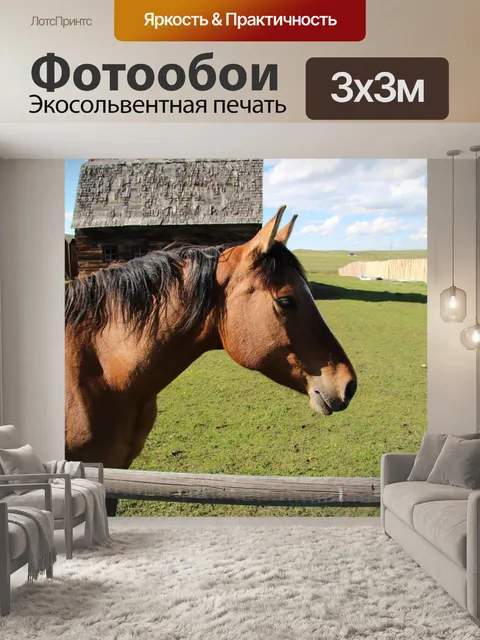 Фотообои Коричневая лошадь