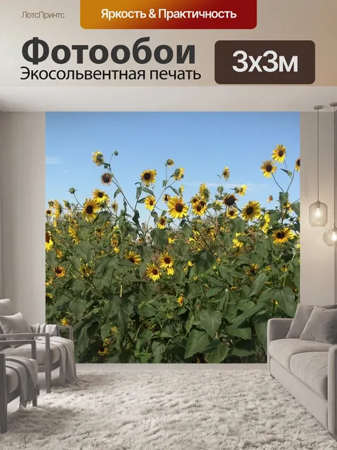 Фотообои Подсолнухи
