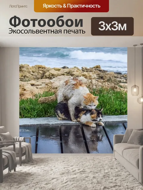 Фотообои Кошки