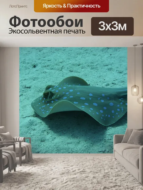 Фотообои Голубой пятнистый скатов
