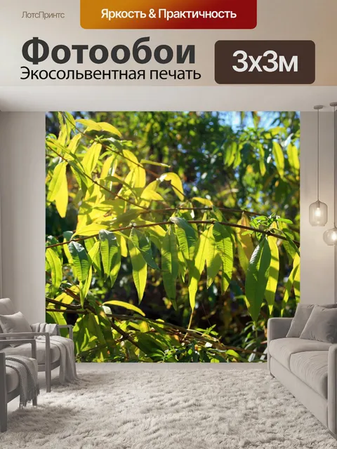 Фотообои лимон, вербена в солнечном свете