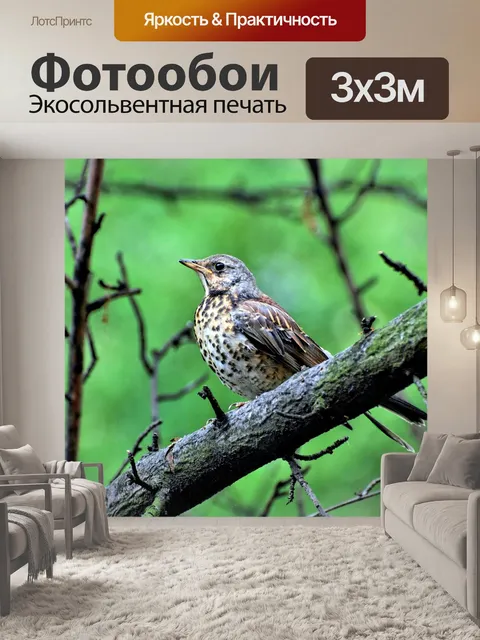 Фотообои Птица