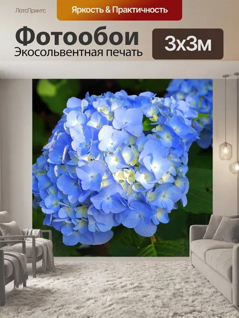Фотообои Гортензия