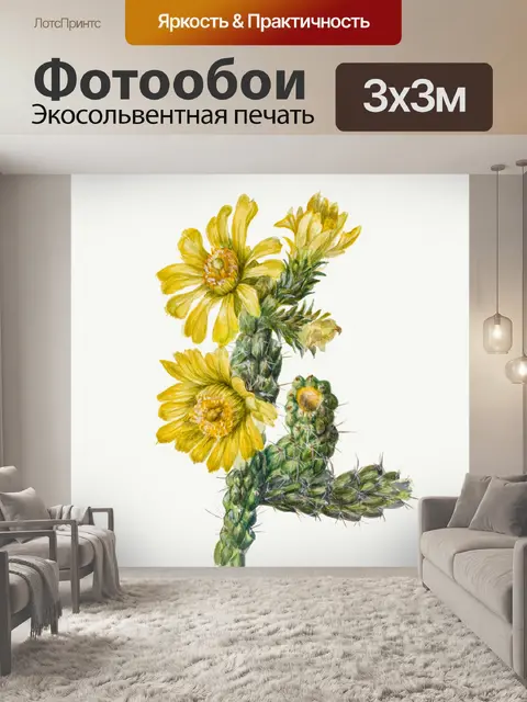 Фотообои Кактус винтаж искусство старый