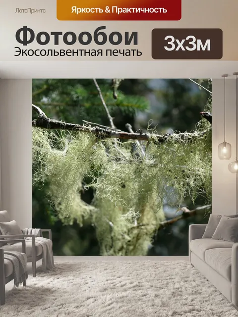 Фотообои Вниз