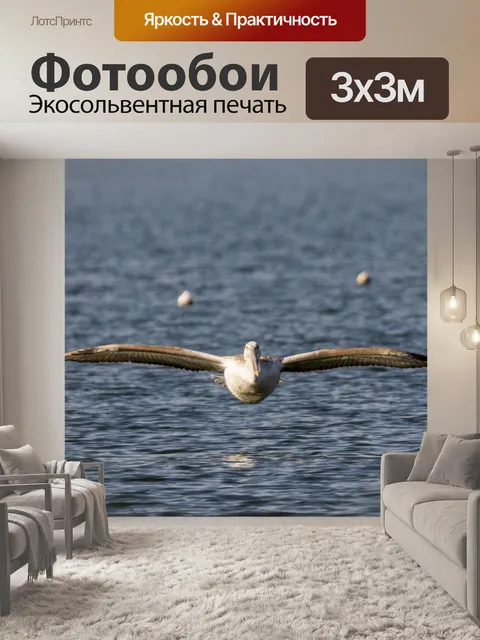 Фотообои Пеликан
