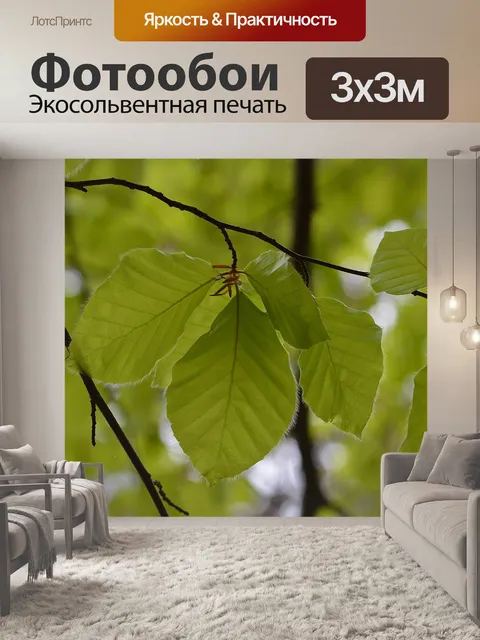 Фотообои Листья