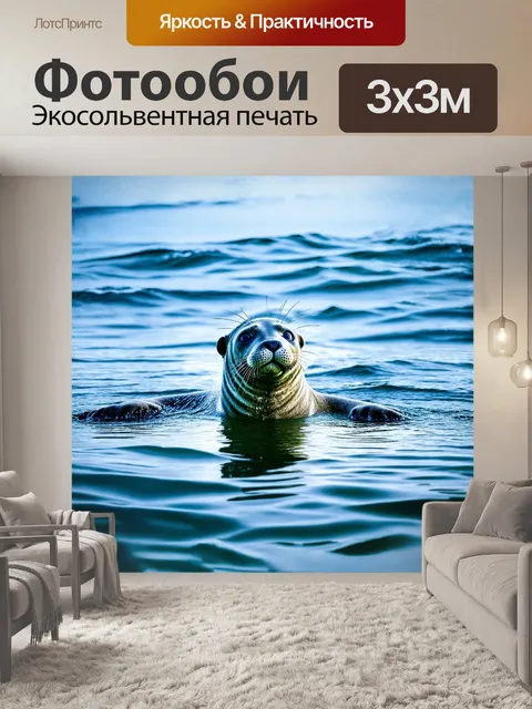 Фотообои серый тюлень, неподвижно плывущий среди спокойных вод северного моря, его плавники изящно раскрыты, а водная…