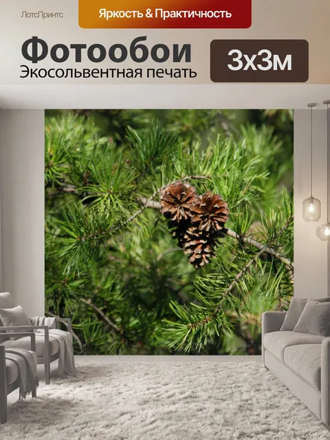Фотообои Crowders горы