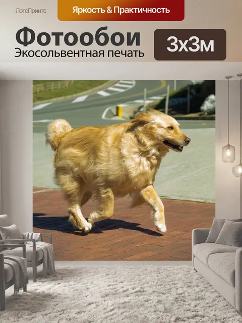 Фотообои Перро