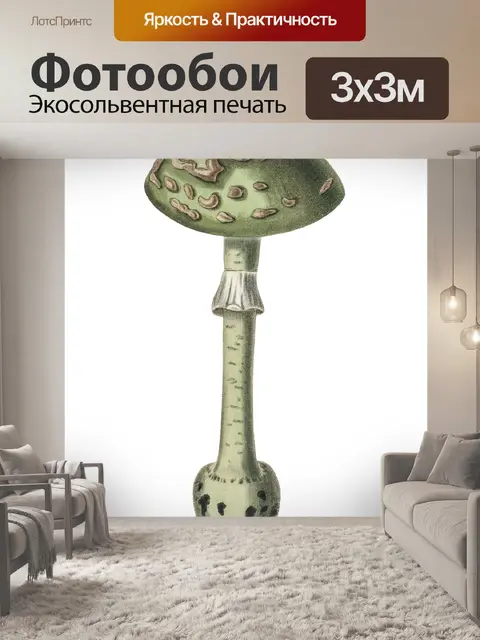 Фотообои Винтаж Клипарт Гриб Чемпион