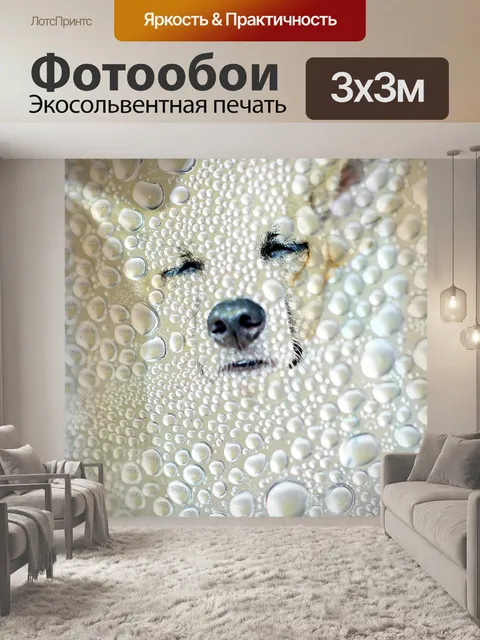 Фотообои Прохладный собака
