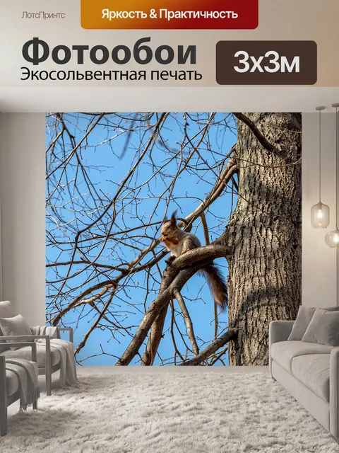 Фотообои Белка