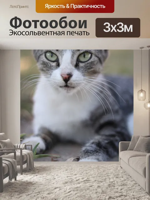 Фотообои Гато